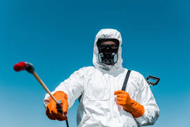 Best Termite Inspection and Treatment  in East Whittier, CA